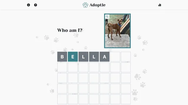 Adoptle board showing a shelter pet name guess and the on-screen letter keyboard