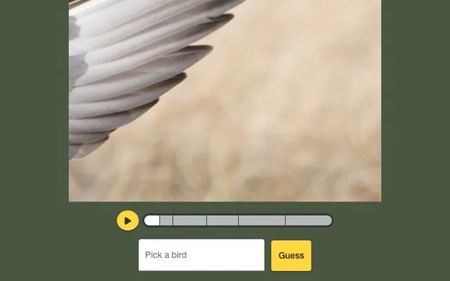 'Birdie' game in progress