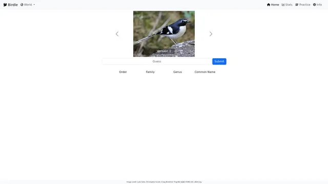 Birdle daily bird identification game in progress.