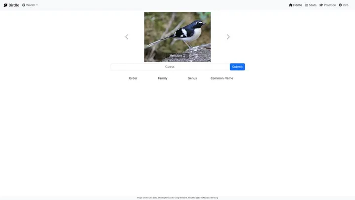 Birdle daily bird identification game in progress.