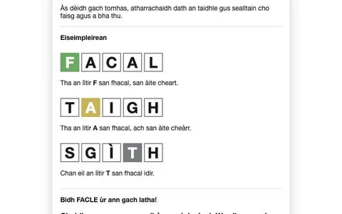 'Facle' game in progress