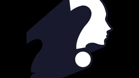 Picguessr official game page captured in a desktop browser