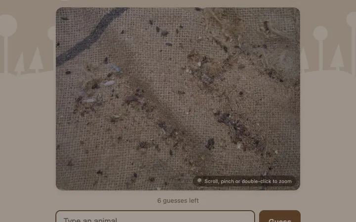 'Poopguessr' game in progress