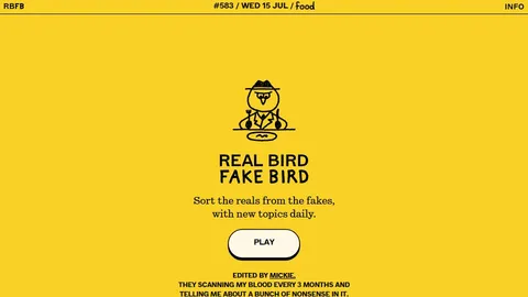 Real Bird Fake Bird official game page captured in a desktop browser