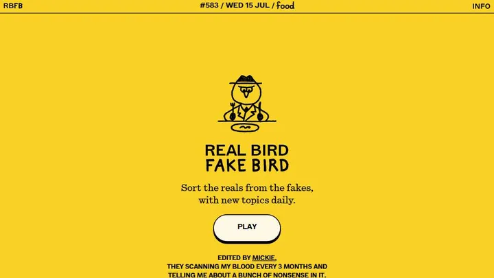 Real Bird Fake Bird official game page captured in a desktop browser