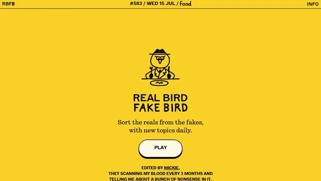 Real Bird Fake Bird official game page captured in a desktop browser